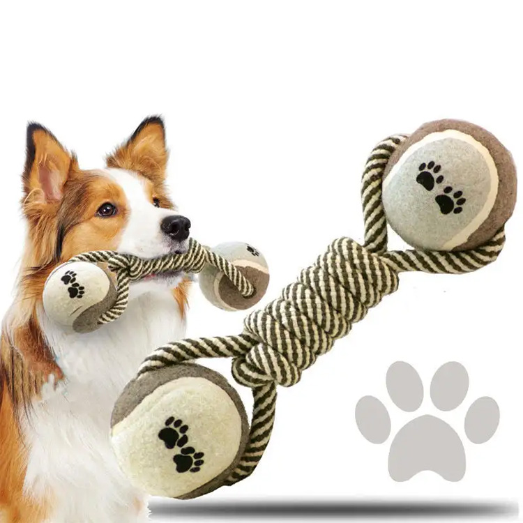 犬は犬のために健康ですか？